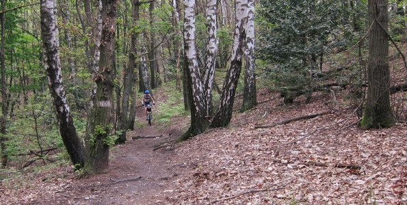 Trail on Monte Cargiago