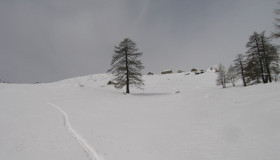 Passo di Bosco