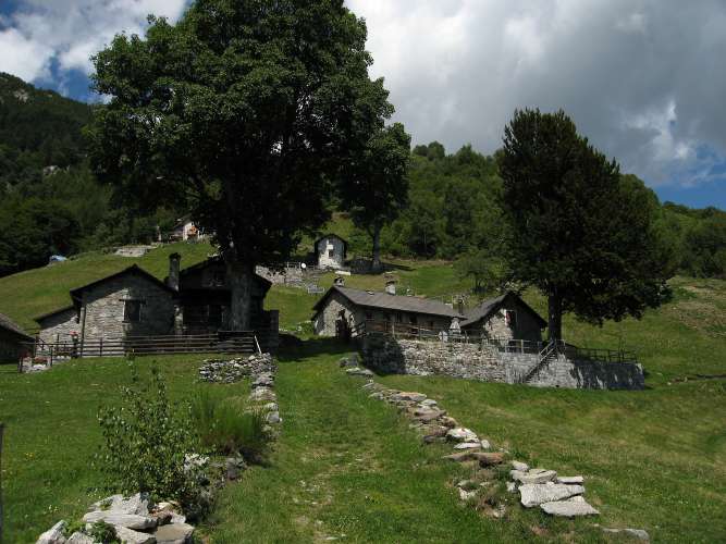 Oggi c'è in programma un grande tappone alpino! La prima salita mi porta ai 1286 m dei Monti della Gana, sopra a Cugnasco...