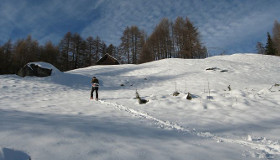 Alpe Quadrella 