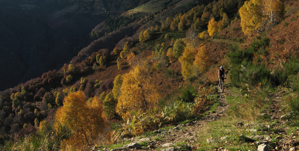 Single-track to Alpe di Nisciora