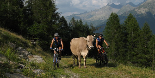 Alpe di Brunescio