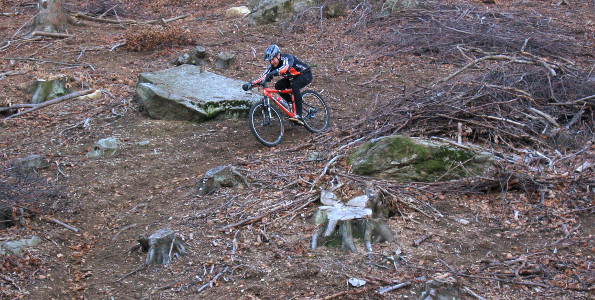 Abfahrt im Wald nach Cannobio