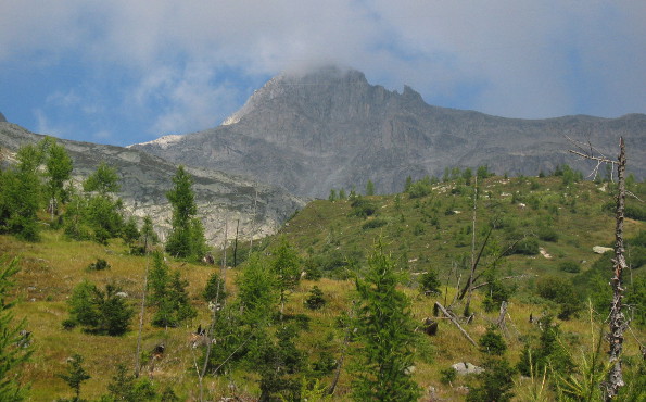 Chüebodenhorn visto dalla Capanna Piansecco