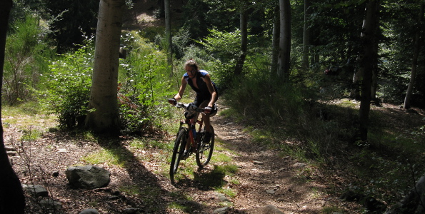 Aufstieg im Wald oberhalb Monti Motti